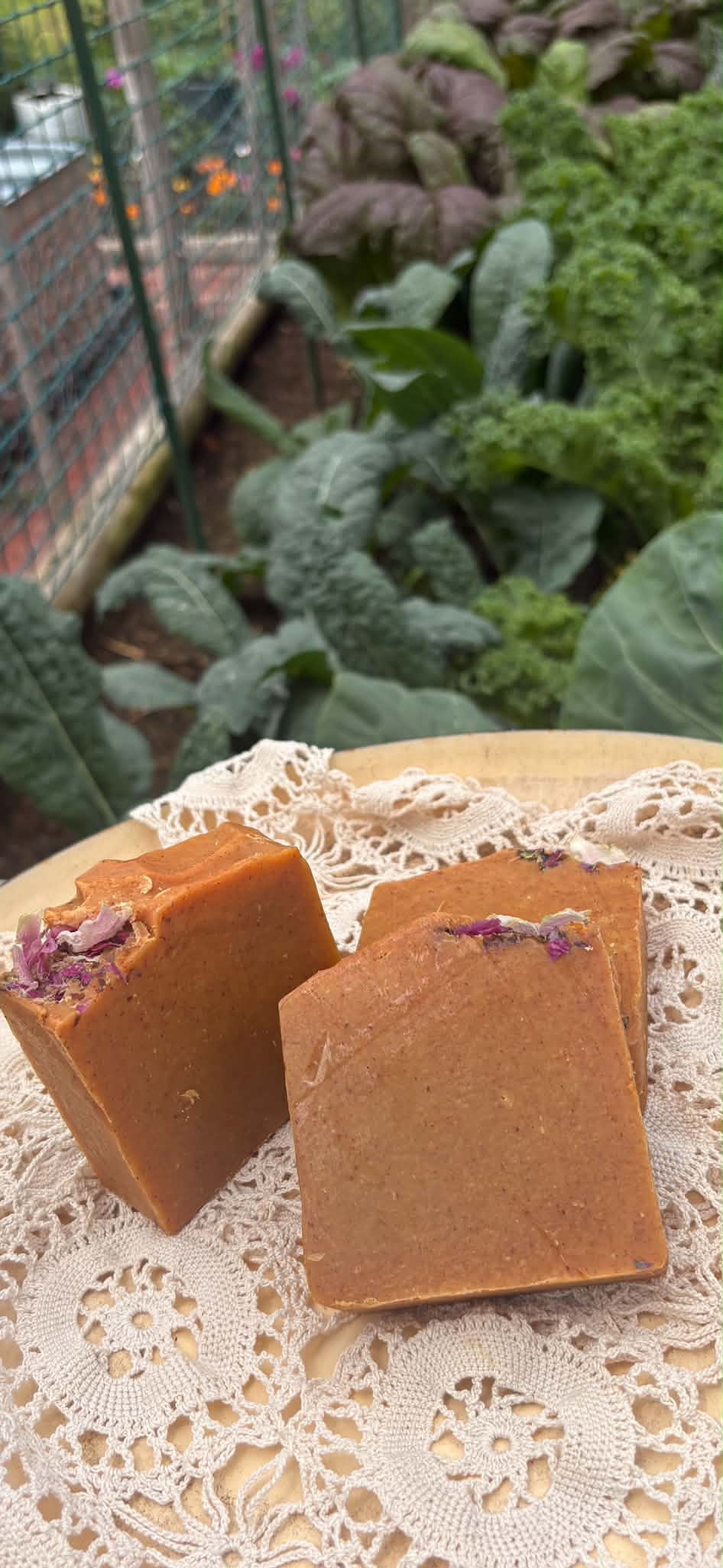 Turmeric/papaya/ aloe soap + Kojic/ 5 oz