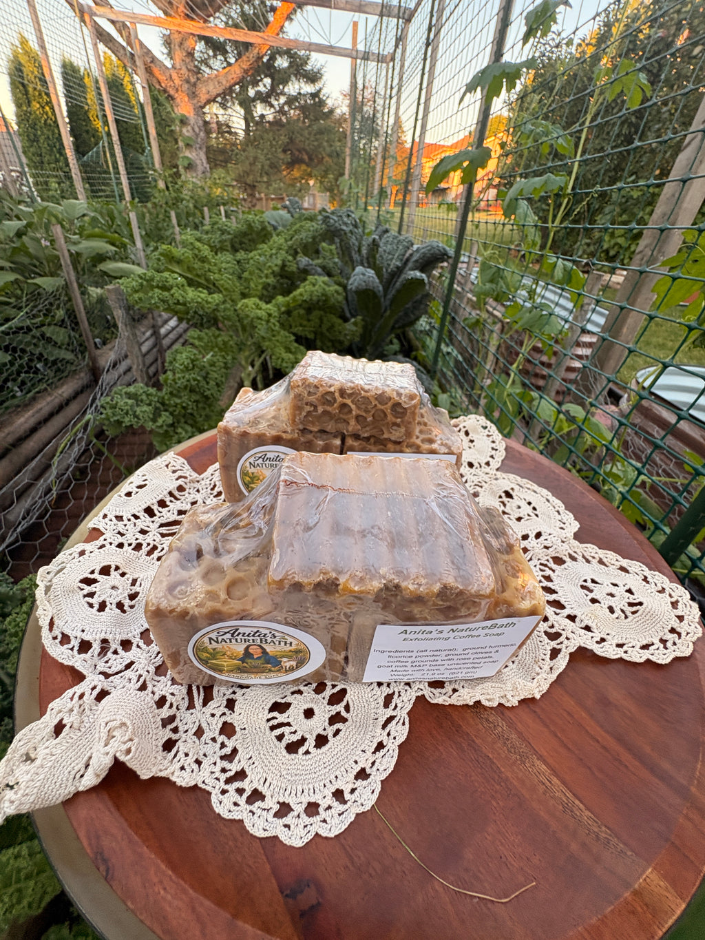Exfoliating Coffee Soap/ Bundle Value Pack of 5