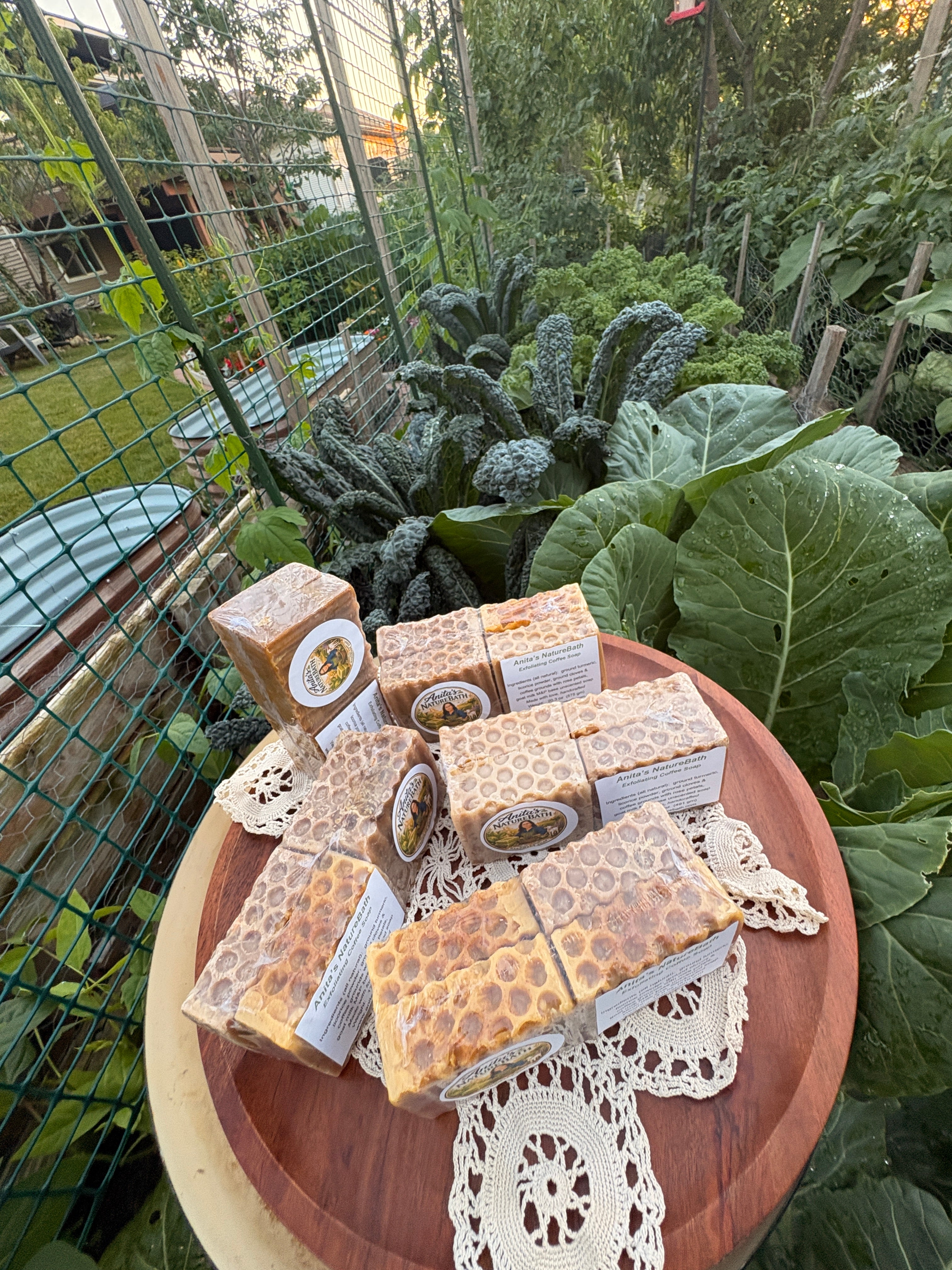 Exfoliating Coffee Soap/ Bundle Value Pack of 4